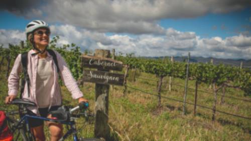 Reach the Moothi Vineyard by bike | Tim Charody