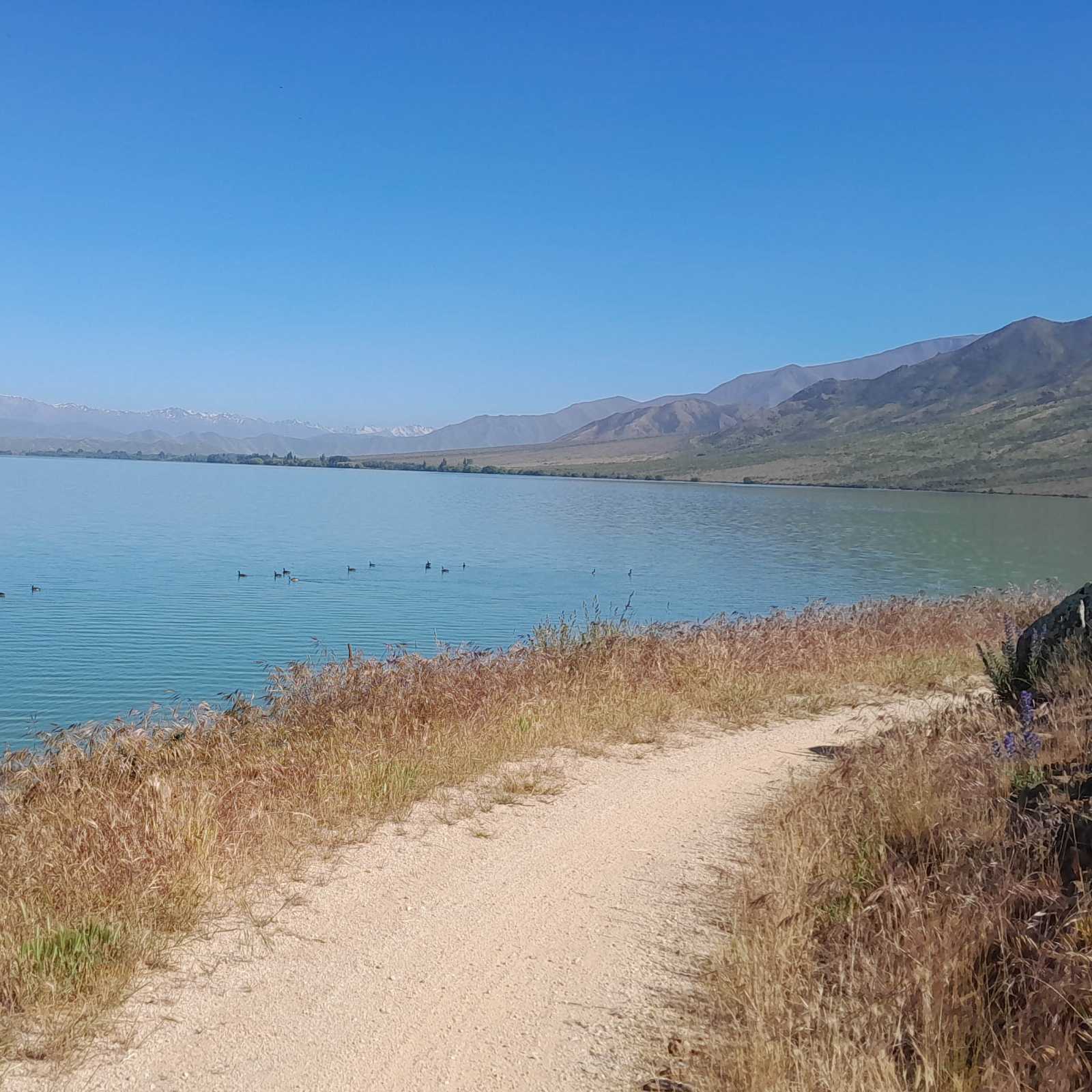 From Sailors Cutting the trail follow the lake edge | Rebecca Thomas