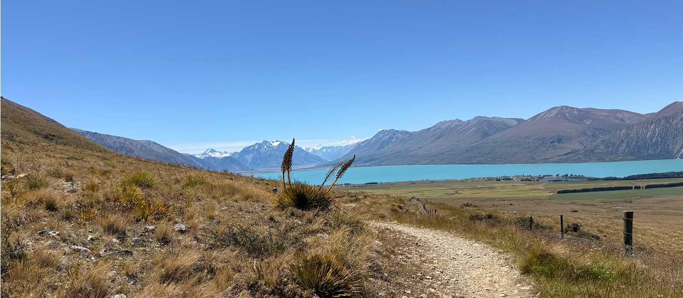 Our wonderful traveller photos from the 2026/27 season on the Alps to Ocean | UGC