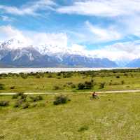 Cycling New Zealand's longest cycle trail with Trail Journeys | Matt de Vries
