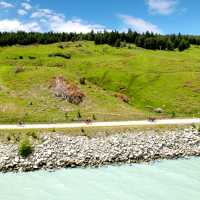 Cycling New Zealand's longest cycle trail with Trail Journeys | Matt de Vries