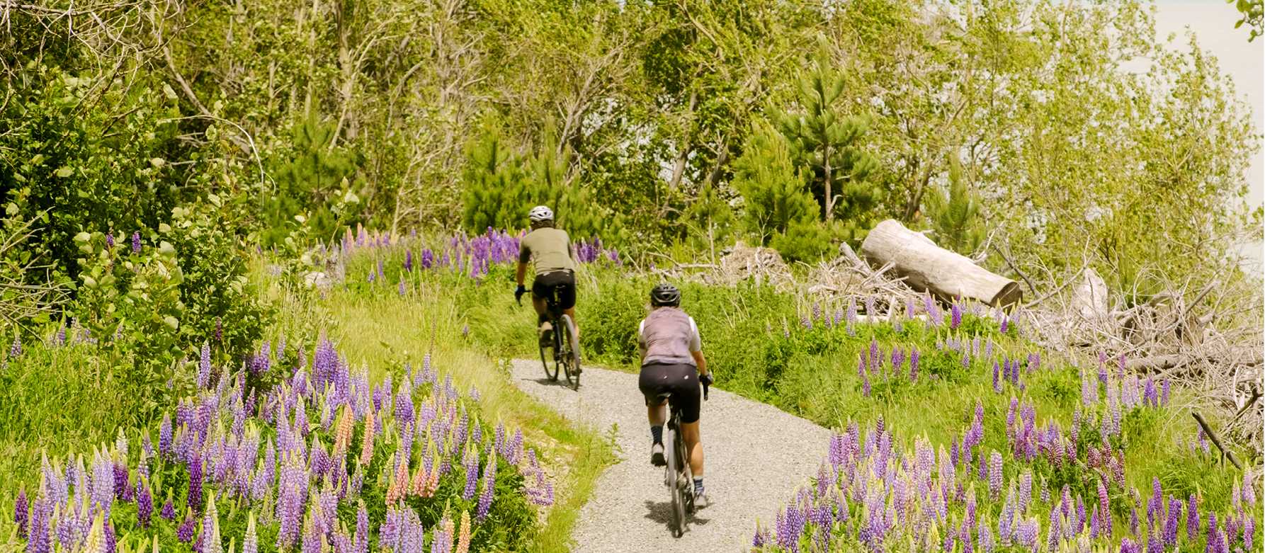 Cycling New Zealand's longest cycle trail with Trail Journeys | Matt de Vries