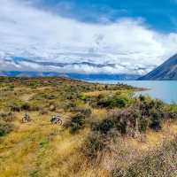 Conquering the mighty Alps 2 Ocean | Gesine C