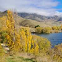 Stunning autumn colours on the trail near Sailor Cutting | Brian Anderson