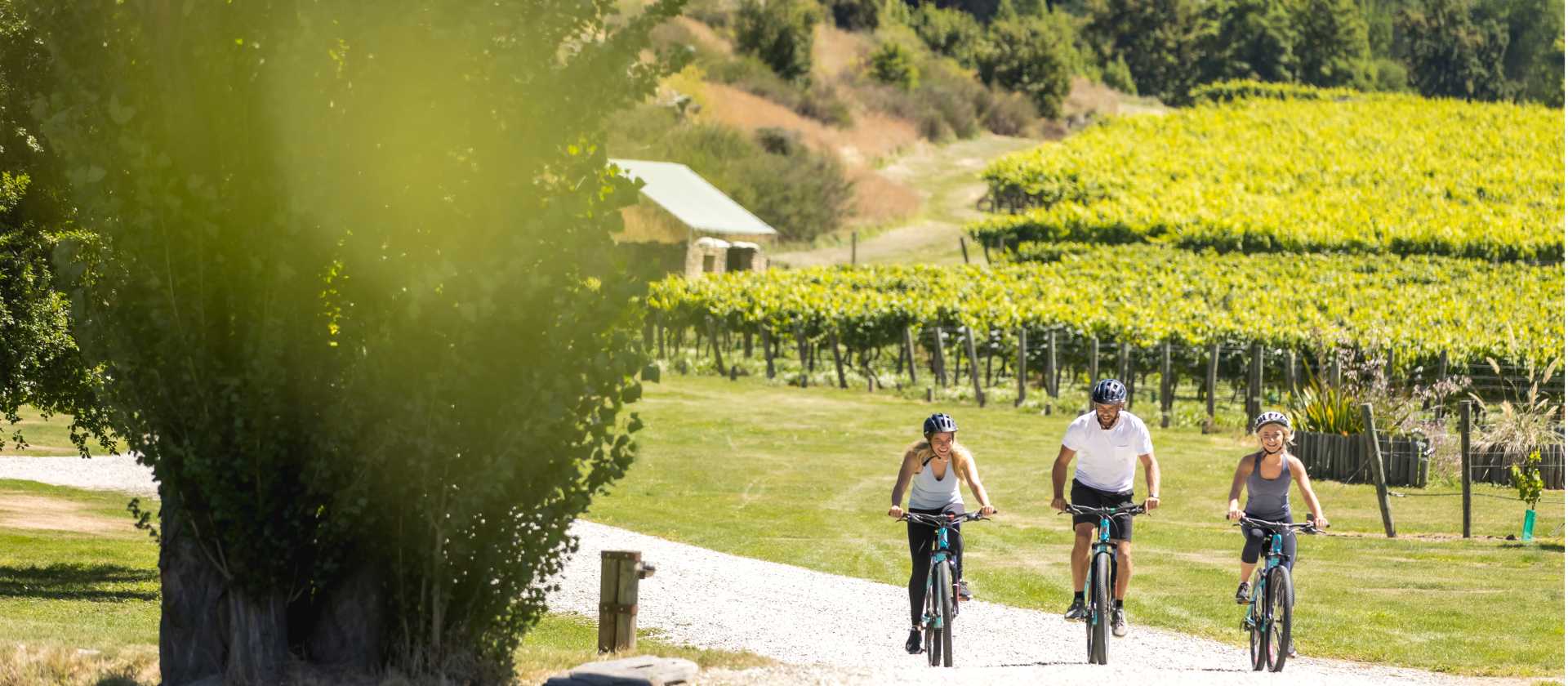 Enjoy cycling through the vineyards of the Gibbston Valley | Miles Holden