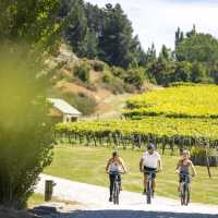 Enjoy cycling through the vineyards of the Gibbston Valley | Miles Holden