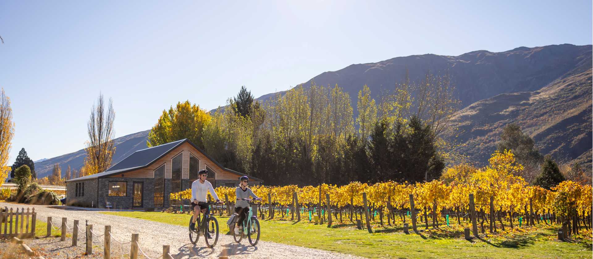 Cycling through the Gibbston Valley vineyards | Miles Holden