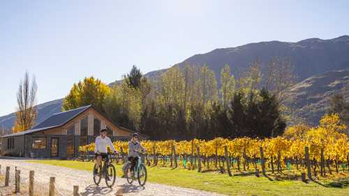 Cycling through the Gibbston Valley vineyards | Miles Holden