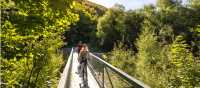 Biking along the Arrow River Trail | Miles Holden