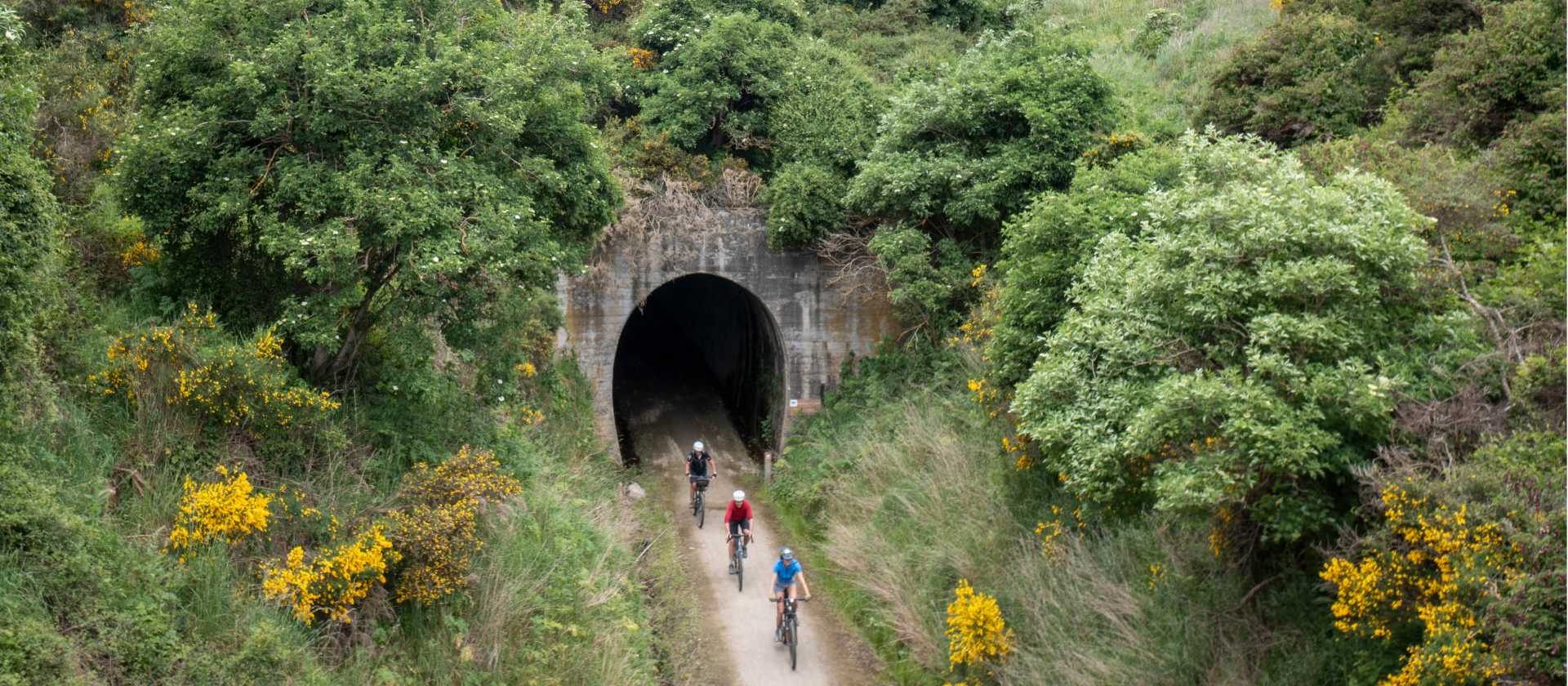 Cyclists riding along the Clutha Gold Trail | Geoff Marks