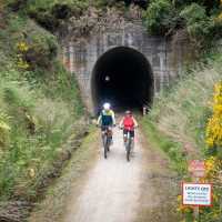 Cyclists riding along the Clutha Gold Trail | Geoff Marks