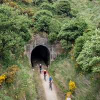 Cyclists riding along the Clutha Gold Trail | Geoff Marks