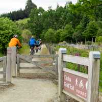 Cyclists riding along the Clutha Gold Trail | Geoff Marks