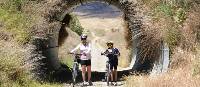 Cyclists on the Otago Rail Trail Family Adventure | Gesine Cheung