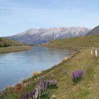 Incredible scenery cycling the Alps to Ocean trail