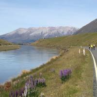 Incredible scenery cycling the Alps to Ocean trail