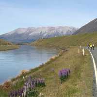 Incredible scenery cycling the Alps to Ocean trail