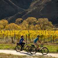 Cycling the incredible Alps to Ocean. | Clare Toia-Bailey