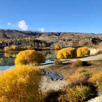 Lake Dunstan Trail | Natalie Tambolash