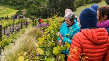 otago peninsula bike tour