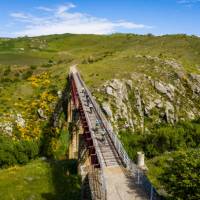 Cycle over the grand Poolburn Viaduct | Lachlan Gardiner