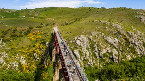 Cycle over the grand Poolburn Viaduct | Lachlan Gardiner