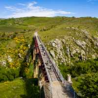 Cycle over the grand Poolburn Viaduct | Lachlan Gardiner