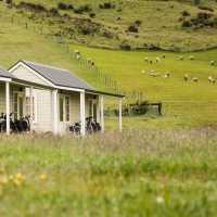 Wedderburn Cottages | Lachlan Gardiner