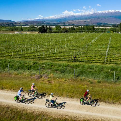 Otago Central Rail Trail - Muttontown
