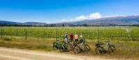 Checking out the vineyards on the Otago Central Rail Trail | Lachlan Gardiner