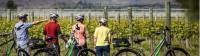 Cycle past vineyards on the Otago Central Rail Trail |  <i>Lachlan Gardiner</i>