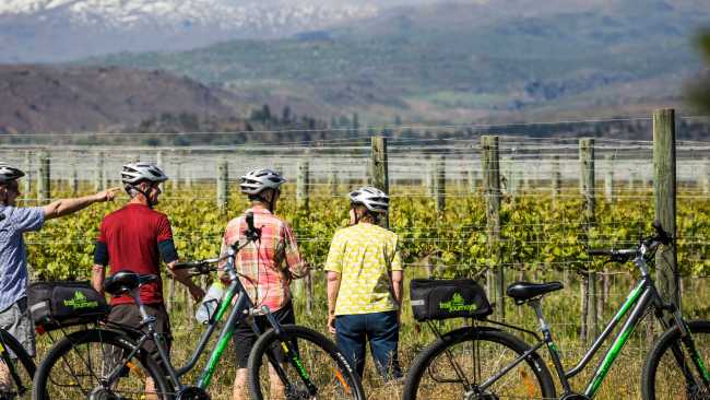 Cycle past vineyards on the Otago Central Rail Trail | Lachlan Gardiner