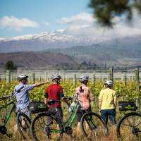 Cycle past vineyards on the Otago Central Rail Trail | Lachlan Gardiner