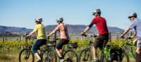 Cycle past vineyards on the Otago Central Rail Trail | Lachlan Gardiner