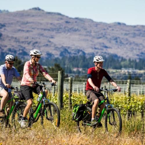 Cycle past vineyards on the Otago Central Rail Trail