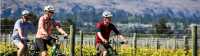 Cycle past vineyards on the Otago Central Rail Trail |  Lachlan Gardiner