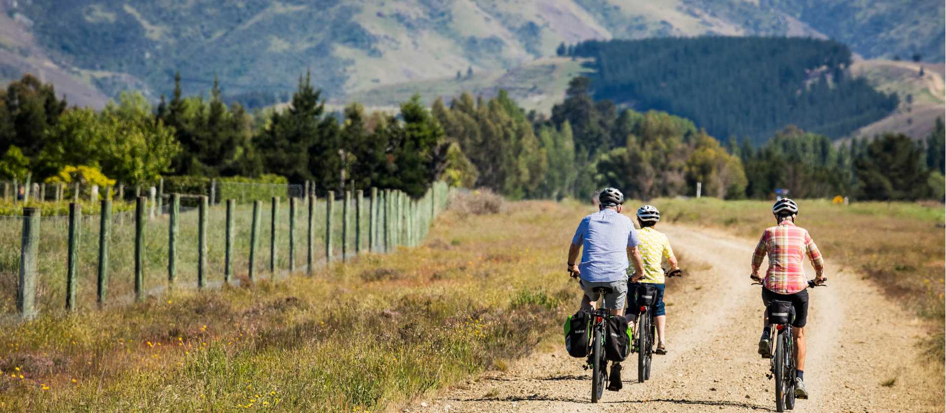 Cycle past vineyards on the Otago Central Rail Trail | Lachlan Gardiner