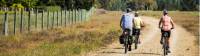 Cycle past vineyards on the Otago Central Rail Trail |  <i>Lachlan Gardiner</i>
