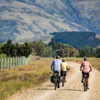 Cycle past vineyards on the Otago Central Rail Trail | Lachlan Gardiner