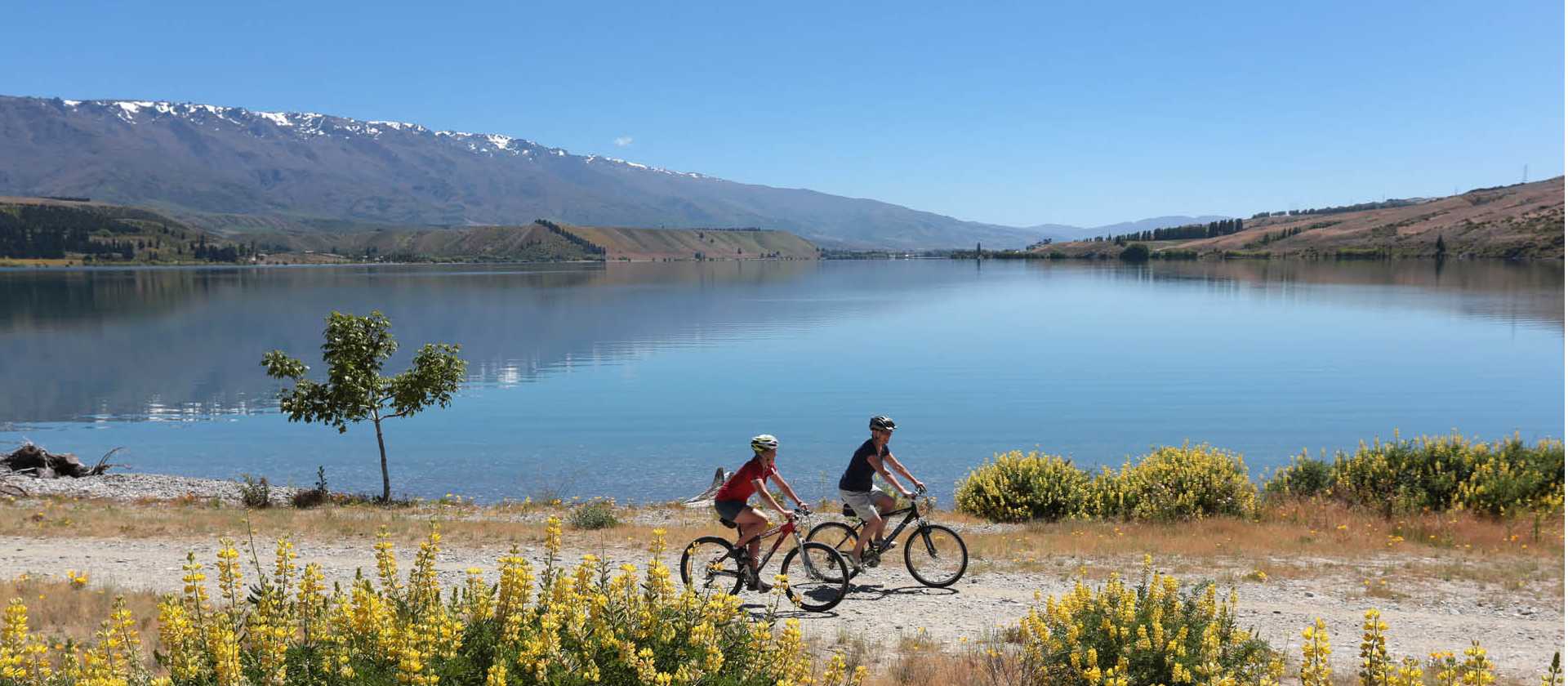 Cycling alongside Lake Dunstan | James Jubb, Tourism Central Otago