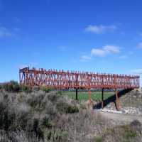 The interesting Bruce Stewart Bridge between Milton & Waihola | Rebecca Thomas