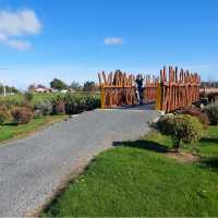 Crossing the Bruce Stewart Bridge between Milton & Waihola | Rebecca Thomas