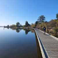 Elevated boardwalk alongside beautiful Lake Waihola | Rebecca Thomas