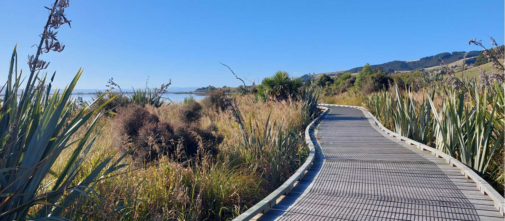 Stunning section of boardwalk approaching Lake Waihola | Rebecca Thomas
