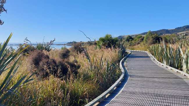 Stunning section of boardwalk approaching Lake Waihola | Rebecca Thomas