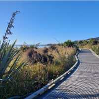 Stunning section of boardwalk approaching Lake Waihola | Rebecca Thomas