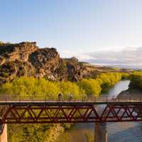 The 110m long Manuherikia Bridge No. 1 | DunedinNZ