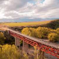 The 110m long Manuherikia Bridge No. 1 | DunedinNZ