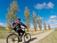 Sunny autumn days on the trail
