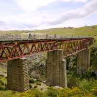 Otago Central Rail Trail | Matt de Vries